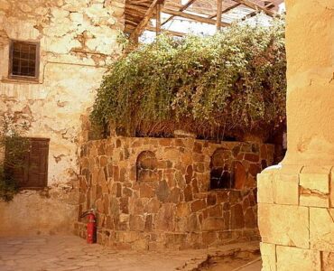 The Burning Bush in St.Catherines Monastery